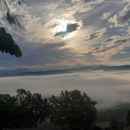 Suite Villa Aurelj Barolo Bagian luar foto