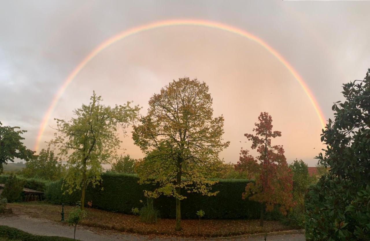 Suite Villa Aurelj Barolo Bagian luar foto